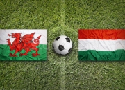 开云官网-匈牙利逼平威尔士，阻击对手晋级路的简单介绍