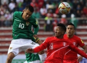 开云足球直播-关于秘鲁足球协会公开财务数据，透明度提高审核准确的信息