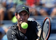 开云体育APP下载-包含戴维斯杯轻取温网，穆雷刷新纪录的词条