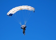 开云体育-冰与火之歌，从CBA到F1，竞技场上的绝对压制与王者接管