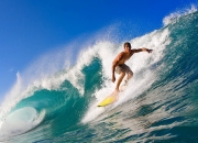 开云体育-小贾伦一柱擎天！黄蜂内线失守，独行侠客场告捷