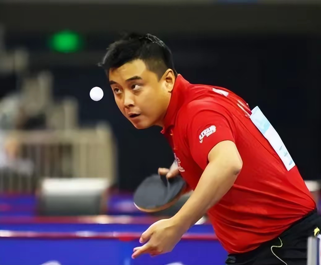 德国乒乓球队绝杀中国乒乓球队，王皓爆发神勇的简单介绍