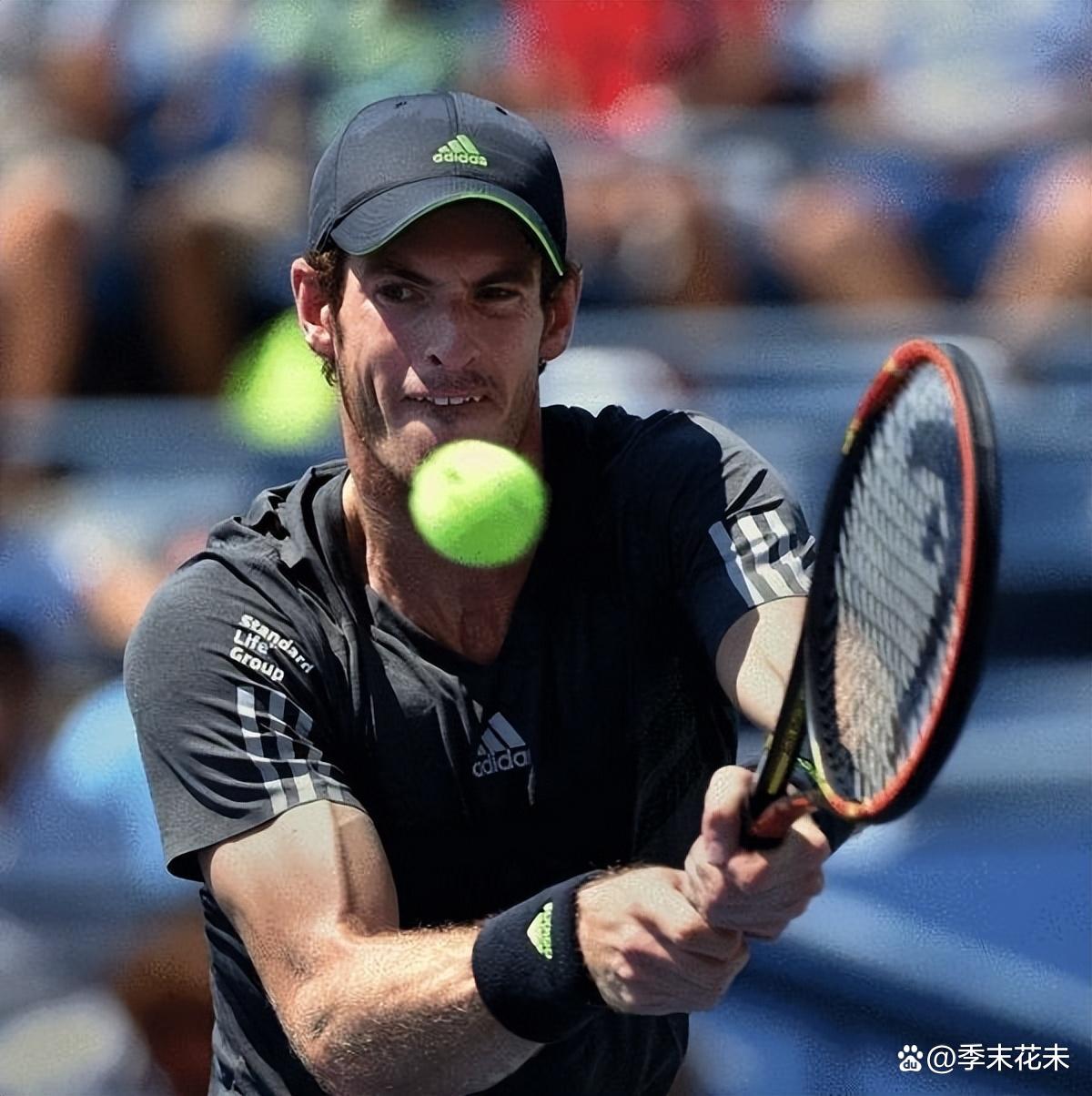 包含戴维斯杯轻取温网,穆雷刷新纪录的词条 包含戴维斯杯轻取温网,穆雷刷新纪录的词条