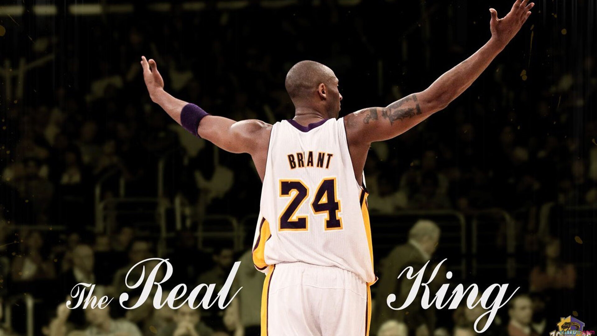 跨界统治力，从猛龙强压上海队到拉梅洛西甲德比接管，体育世界的唯一性叙事