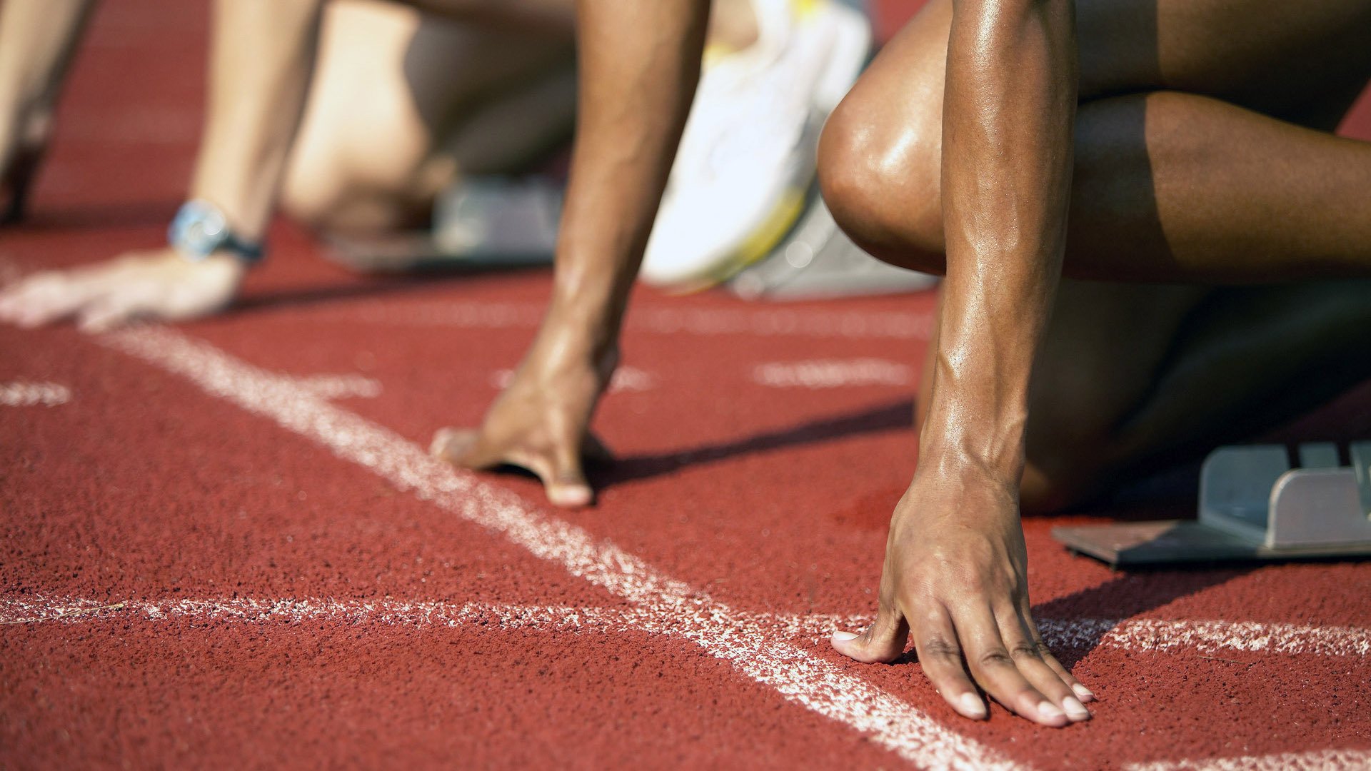 绿茵场与球桌的火焰，葡萄牙力克波兰，张本智和点燃赛场